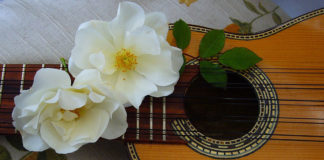 Southern Utah Events Guide southern utah events guide Cover March 7 2019