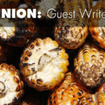 Put corn on the menu, not in the tank He's told the EPA to start the process of permitting the sale of E15 — a gasoline blend that's 15 percent ethanol — year-round.