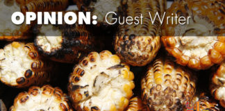 Put corn on the menu, not in the tank He's told the EPA to start the process of permitting the sale of E15 — a gasoline blend that's 15 percent ethanol — year-round.