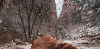 Kolob Canyons Scenic Drive closed due to rockfall The Kolob Canyons Scenic Drive was closed March 6 after reports of three active areas of rockfall.