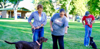 SUU Community Education launches new spring classes Join more than 350 community members already signed up for fun, affordable community classes with SUU Community Education in 2019.