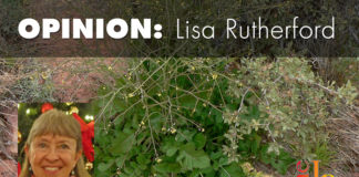 Sahara mustard putting southern Utah at greater fire risk Thanks to a moist winter in southern Utah, Sahara mustard, which creates a fire hazard and can be toxic to our desert tortoises, is proliferating.