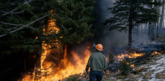 Trump proposes $919 million for Wildland Fire Management in Fiscal Year 2020 President Trump requested $919.9 million in appropriations for the Department of the Interior's Wildland Fire Management program.