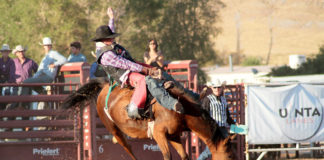Washington County Fair hosts town hall meeting The Washington County Commissioners and Washington County Fair Board will host an open forum town hall meeting in St. George.