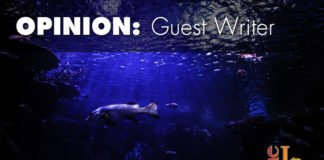 Caving on offshore drilling: America last Seismic surveys for offshore drilling are safe and will help power the American energy renaissance to new heights of production and prosperity.