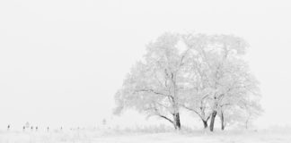 National Weather Service calls for snow in higher elevations in southern Utah The National Weather Service is calling for snow in higher elevations in southern Utah.