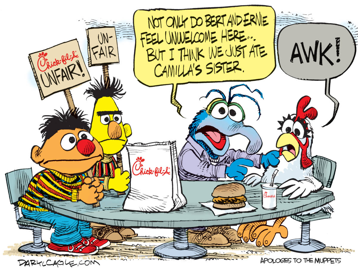 Chick-fil-A Muppets, Daryl Cagle, southern Utah, Utah, St. George, The Independent, Jim Henson,Muppets,Gonzo,Bert,Ernie,Sesame Street,Chick-Fil-A,Camilla,Gonzo,cannibalism,chicken,Chick-fil-A Cartoons,Fight Over Gay People