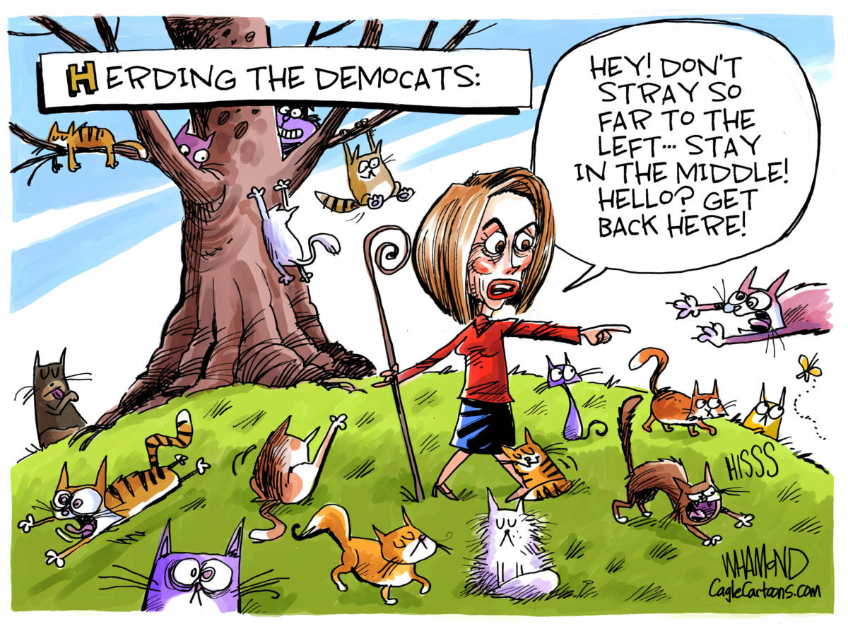 Herding the Democats, Dave Whamond, southern Utah, Utah, St. George, The Independent, Pelosi in charge, Party divisions, House Democrats, straying too far left, radical, pragmatism, appeal to mainstream voters, bold aggressive policies, to impeach or not, moderates looking for a party, hard-left turn may hurt Dem chances in 2020 election