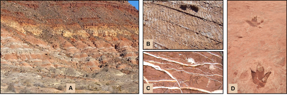 Our Geological Wonderland: The rock record in St. George illustrates the various rock formations in St. George like the Kaibab Formation and many others.