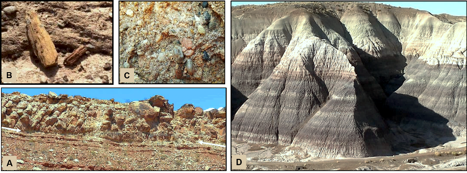 Our Geological Wonderland: The rock record in St. George illustrates the various rock formations in St. George like the Kaibab Formation and many others.