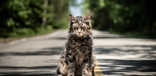 Pet Sematary Movie Review Pet Sematary