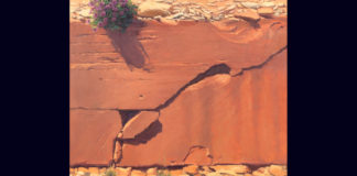 SUMA exhibit features landscape artist Kate Starling SUMA exhibit features landscape artist Kate Starling