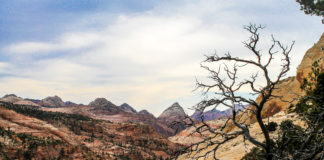 BLM temporarily closes Virgin River Canyon Recreation Area Campground The BLM Arizona Strip Field Office will close the Virgin River Canyon Recreation Area Campground in order to complete needed renovations of the restrooms.