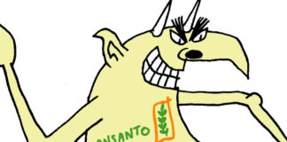 MonsantoBayer trial MonsantoBayer trial, Stephane Peray, southern Utah, Utah, St. George, The Independent, Monsanto, Bayer , Glysophat , RoundUp , Glysophate , pesticide, agriculture , farming, lawsuit , multinational , corporations