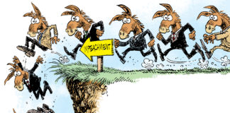 Rush to Impeachment Rush to Impeachment, Daryl Cagle, southern Utah, Utah, St. George, The Independent, lemmings,cliff,impeachment,impeach,democrats,donkeys,Nancy Pelosi,tantrum,run,jump,president,congress