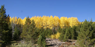 USDA Forest Service and State of Utah sign shared stewardship agreement Secretary of Agriculture Sonny Perdue joined Utah Gov. Gary Herbert to sign a shared stewardship agreement between the Forest Service and the State of Utah.Secretary of Agriculture Sonny Perdue joined Utah Gov. Gary Herbert to sign a shared stewardship agreement between the Forest Service and the State of Utah.