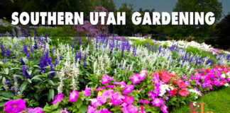 Landscaping tips for season-long color When planning and planting, it is good to remember some general landscaping tips for season-long color.