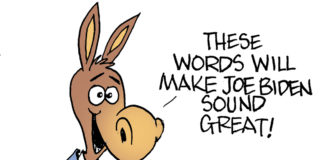 Joe Biden’s staff Joe Biden's staff, Bruce Plante, southern Utah, Utah, St. George, The Independent, Vice President Joe Biden,Joe Bidens staff,plagiarism,Campaign 2020,Democratic Presidential Primary 2020,