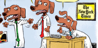 New York Times and Dachshunds New York Times and Dachshunds, Daryl Cagle, The New York Times,International Edition,Patrick Chappatte,political Cartoons,editorial cartoons,dog,dogs,dachshunds,editor,censorship,anti-semitic,Antonio Antunes,NYT Cartoons