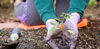 Gardener’s Almanac checklist for June Utah State University Extension provides a Gardener's Almanac checklist for June as well as links for tips and further information.