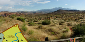 Hiking Southern Utah: Pioneer Rim Trail Hiking Southern Utah: Pioneer Rim Trail is a close-by, worthwhile, easy hike with portions of impressive red rocks and views of St. George.