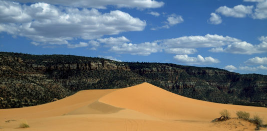 An Arizona man is dead following a UTV accident June 26 at Coral Pink Sand Dunes State Park.