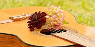 Terri Clark performs at O. C. Tanner Amphitheatre Terri Clark will perform at the O. C. Tanner Amphitheatre, where music lovers can experience their favorite music under the stars.