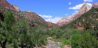 Zion National Park anticipates busy Independence Day weekend Zion National Park anticipates that Independence Day weekend, July 4–7, will be extremely busy. Visitors should expect congestion and high temperatures.