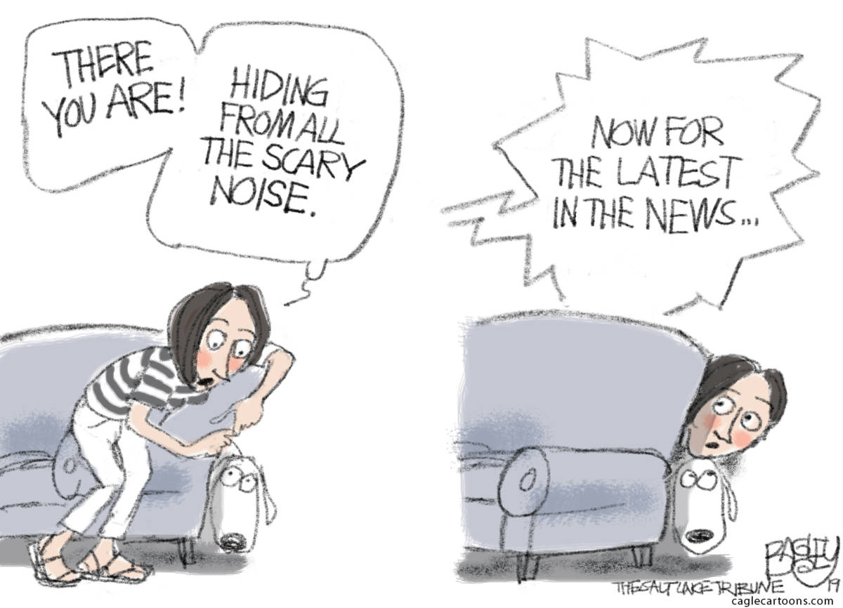 Dogs and Fireworks, Pat Bagley, Fourth of July, Independence Day, Founders, fireworks, dogs, explosions, explode, noise, pets, dogs, skittish, hide, News, MSM, Trump, 4th of July, dog