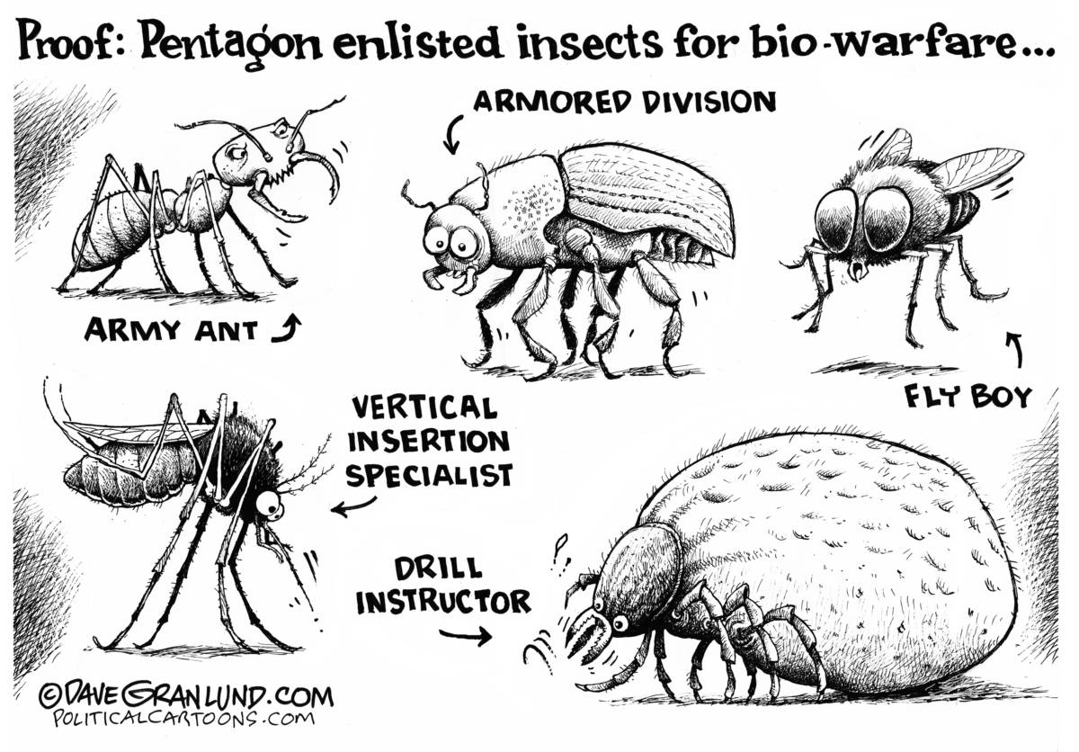 Pentagon and insect warfare, Dave Granlund, insects, ticks, biological warfare, bio-warfare, testing, experiments, disease, lyme disease, carriers, agents, 1950s, 1970s, DOD, military, enemy, release, environment, house probe, congress, investigation