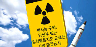 Nuclear Warhead Nuclear Warhead, Bart van Leeuwen, Kim Jong-un, North Korea, Nuclear Weapons, sanctions, missile