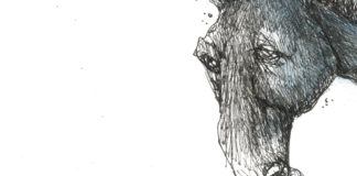 Televised Democratic Debates Televised Democratic Debates, Dale Cummings, Democrats, election, television, candidates, policy