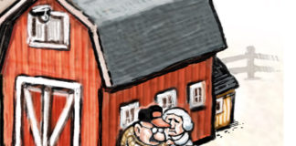 Trade War Farm Trade War Farm, Steve Sack, farm, farming, trade was, agriculture, bankruptcy, bankruptcies, rural, soybeans, china