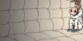 Democrats attack Democrats attack, Bruce Plante, Democrats attack,DNC,2020 Democratic Primary Debates,President Barack Obama,Democratic Party