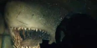 Movie Review: “47 Meters Down: Uncaged” isn’t without its silliness but it’s definitely more entertaining than its predecessor 47 Meters Down: Uncaged Movie Review 47 Meters Down: Uncaged