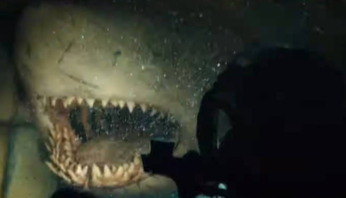 47 meters down uncaged full movie