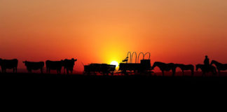 Southern Utah Events Guide southern utah events guide Cover August 15 2019