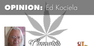 Utah’s medicinal cannabis bill still struggling The LDS Church watered-down voters' medicinal cannabis initiative, and the legislature adopted it. Now Vickers and the legislature want to amend it again.