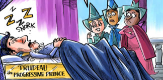 Trudeau the Progressive Prince Trudeau the Progressive Prince, Dave Whamond, Trudeau once considered the progressive prince,cracks showing in armor, Lavscam blackface scandal exposes his hypocrisy,lectures and points fingers at others but doesnt practice what he preaches, Libs in damage control, Canadian election in jeopardy