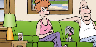 No debates please No debates please, Bruce Plante, No debates please, Democratic primary debates 2020, not yet interested