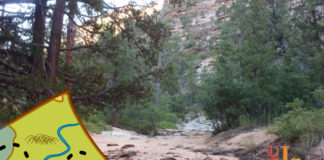 Hiking Southern Utah: Gifford Canyon in Zion National Park Hiking Southern Utah: Gifford Canyon in Zion National Park is an easy hike up a colorful canyon with steep red rock canyon walls and plenty of vegetation.