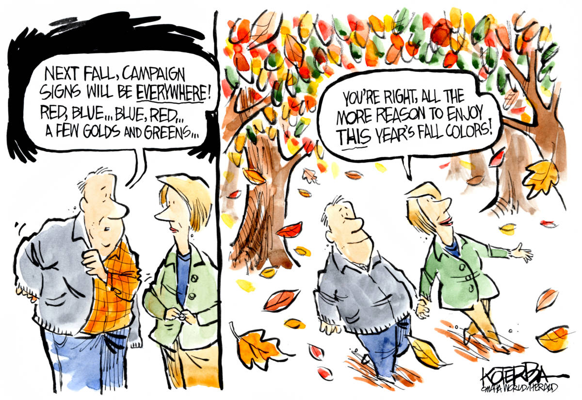 Fall Colors, Jeff Koterba, campaign signs,election,fall,autumn,leaves,raking,politics