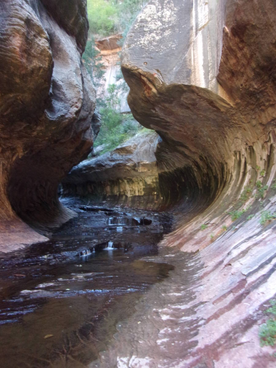 Joe's Guide to Zion National Park - Right Fork of North Creek Bottom-Up Day  Hike