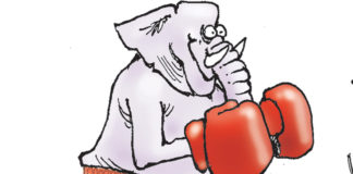 The Fight The Fight, Bill Day, GOP, Democrats, boxing, election, 2020, self-defeating