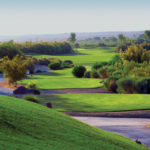 Mesquite golf discounts make great gifts As an avid golfer, I find myself always looking for a great deal on golf. These two Mesquite golf discount cards are my go to year after year.