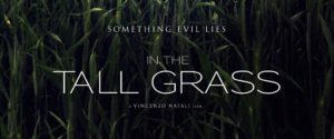 In the Tall Grass Movie Review In the Tall Grass