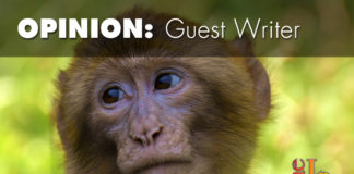 Trump’s new rules aren’t the greatest threat to endangered species The natural habitats lost in just 16 years were equivalent in size to almost nine Grand Canyons, more than 10 Yellowstones, or 49 Great Smoky Mountains.