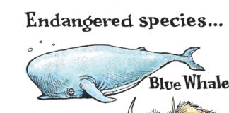 Endangered species Milk drinkers declining by Dave Granlund, PoliticalCartoons.com