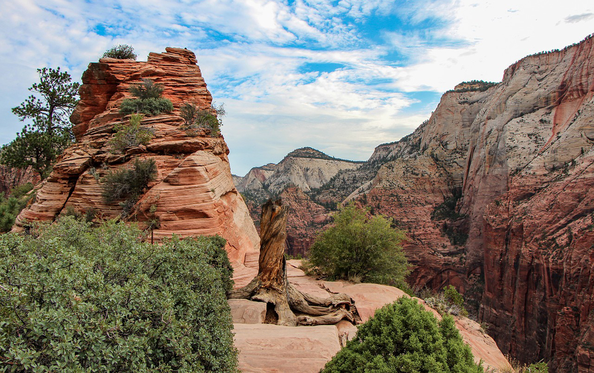 After receiving reports of a rockfall Nov. 16, Zion National Park officials closed the entirety of the Angels Landing trail.