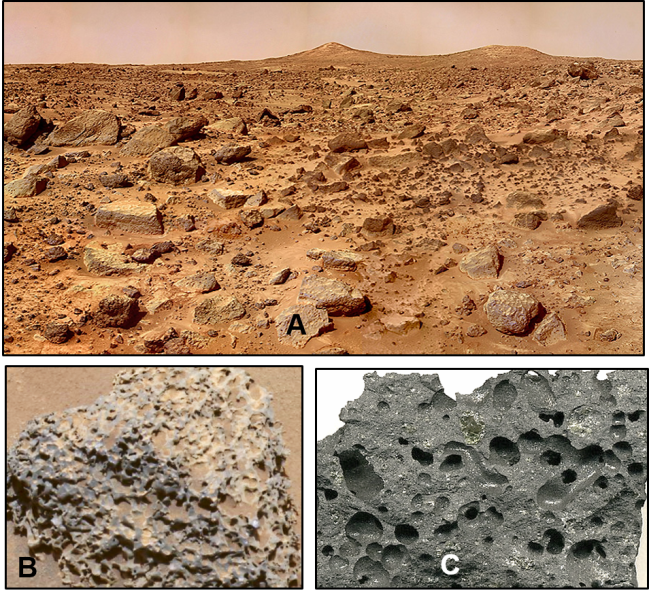 Life on Earth and Mars: much of the Martian surface has been oxidized, or rusted. What is the main source for oxygen gas on Earth and Mars?